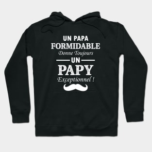 un papa formidable donne tojours un papy exceptionnel! Hoodie